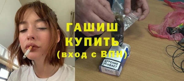 стаф Ельня