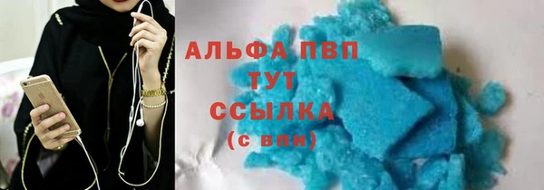 стаф Ельня