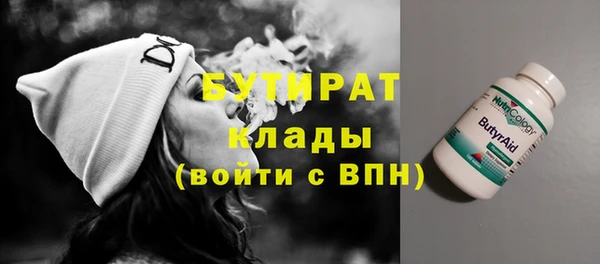 стаф Ельня