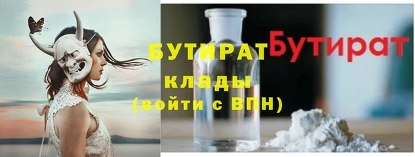 стаф Ельня