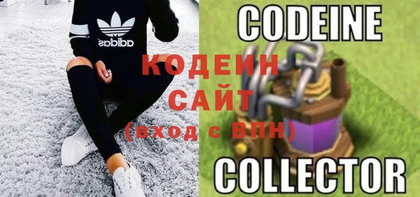 стаф Ельня