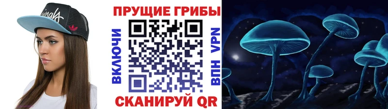 Купить  Гагарин  Галлюциногенные грибы MAGIC MUSHROOMS 